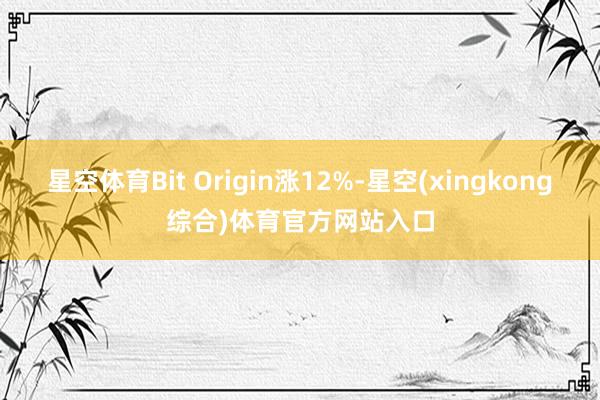 星空体育Bit Origin涨12%-星空(xingkong综合)体育官方网站入口