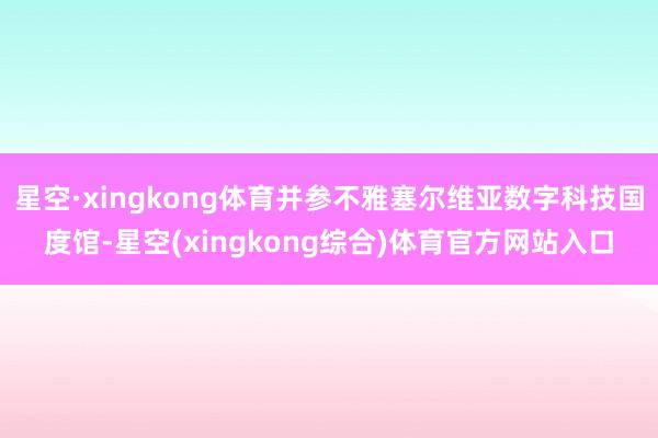 星空·xingkong体育并参不雅塞尔维亚数字科技国度馆-星空(xingkong综合)体育官方网站入口