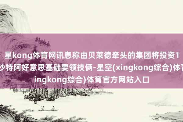 星kong体育网讯息称由贝莱德牵头的集团将投资100亿好意思元沙特阿好意思基础要领技俩-星空(xingkong综合)体育官方网站入口