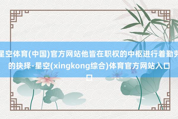 星空体育(中国)官方网站他皆在职权的中枢进行着勤劳的抉择-星空(xingkong综合)体育官方网站入口
