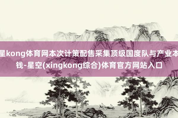 星kong体育网本次计策配售采集顶级国度队与产业本钱-星空(xingkong综合)体育官方网站入口