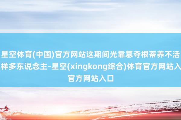 星空体育(中国)官方网站这期间光靠篡夺根蒂养不活这样多东说念主-星空(xingkong综合)体育官方网站入口