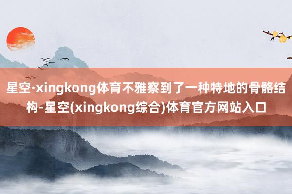 星空·xingkong体育不雅察到了一种特地的骨骼结构-星空(xingkong综合)体育官方网站入口